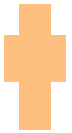 1000X