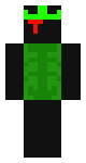 1x1x1x1 v