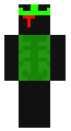 1x1x1x1 v