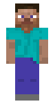 2d_steve.png