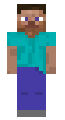 2d_steve.png