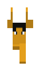 -----------------------------------