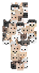 🐱 数匹の猫 ₌₍^--^₎₌ 🐱