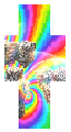 5D06