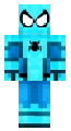 5D333