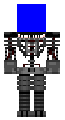 5D5