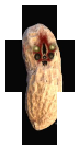ABSOLUTE PEANUT