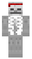 ai skeleton (transparent)