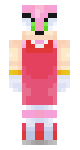 Amy The Hedgehog (NEW)