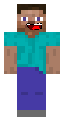 Animated steve
