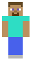 Animation Steve
