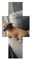 Another cursed Rico man