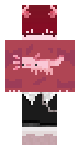 axolot v2