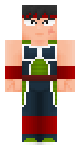 Bardock Dragon Ball