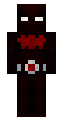 Batman Beyond Skin