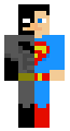 Batman vs superman skin