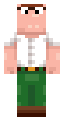 Bedwars pro skin
