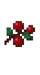 Berry