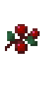 Berry
