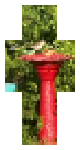 Bird bath bird