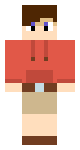 Bloxd io skin lol