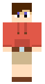 Bloxd io skin lol