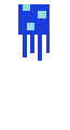 blue jellyfish
