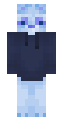 blue racoon