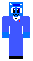 Blues bear skin3