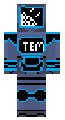 Bluudud Termination Protocol