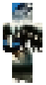 Bombardillo