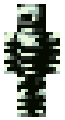 Bones