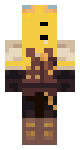 Brick17