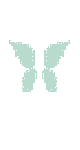 Butterfly 🦋✨️ Aesthetic 128x128