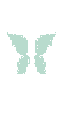 Butterfly 🦋✨️ Aesthetic 128x128