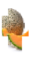 Cantaloupe