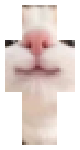 Cat bruhh