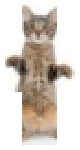 CATlulz
