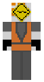 checkrn4mei918 Skin [no Overlay]