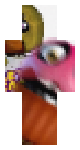 chica mentioned bru