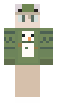 Christmas Frog
