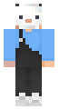 Coston