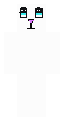 Custom Cat Skin Starter