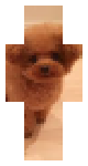 Cute dogs