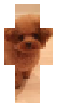 Cute dogs