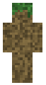 Dirt Camo (Grass)