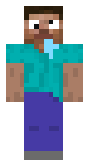 dissy steve