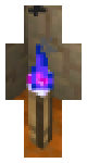 Education edition purple torch