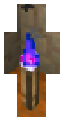 Education edition purple torch