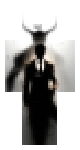 Ego skin